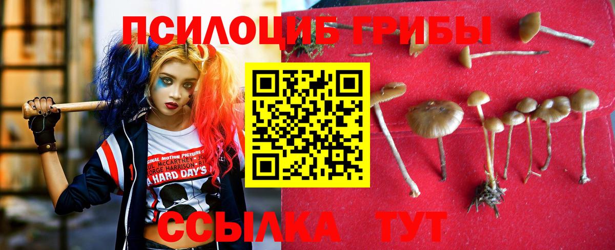Псилоцибиновые грибы GOLDEN TEACHER  Вход с VPN  Карасук 