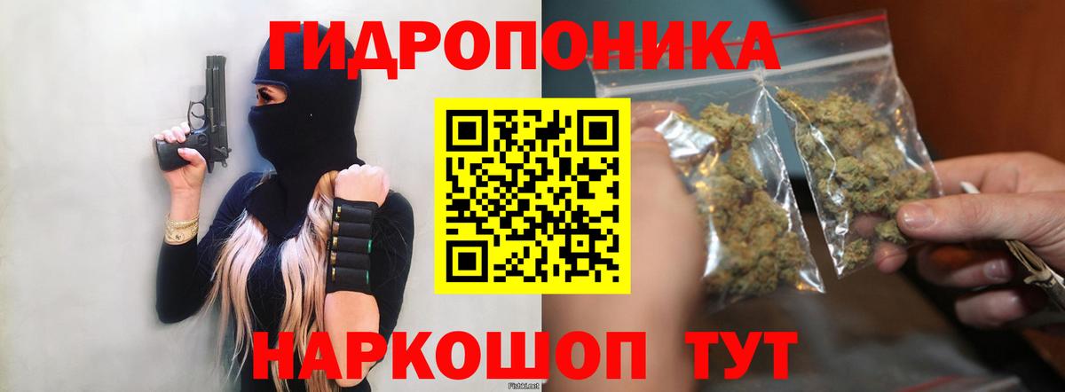 Карасук  Бошки Шишки VHQ  Бошки Шишки THC 21%  Вход с VPN 